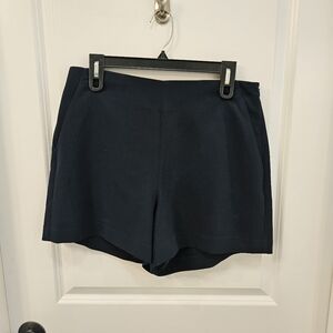 Ann Taylor Petites Women's Blue Shorts | Size 10P